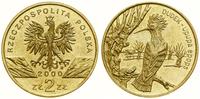 2 złote 2000, Warszawa, Dudek – Upupa epops, nor