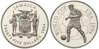 25 dolarów 1994, MŚ w Piłce Nożnej, srebro '925'