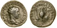 antoninian bilonowy 250–251, Rzym, Aw: Popiersie