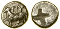 drachma 416–357 pne, Aw: Jałówka stojąca w lewo 