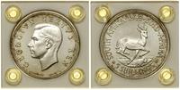 5 szylingów 1949, Pretoria, srebro próby 800, ok