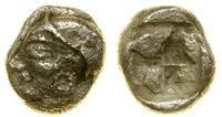 diobol 510–494 pne, Aw: Głowa kobiety w lewo, w 