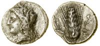 stater ok. 330–290 pne, Aw: Głowa Demeter w koro