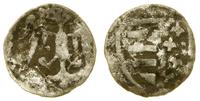 denar 1384–1386, Wschowa, Aw: Orzeł piastowski; 