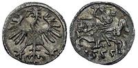 denar 1555, Wilno
