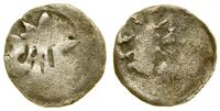 denar XIV w., Aw: Lilia, Rw: Nieczytelny (Gryf?)