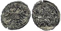 denar 1556, Wilno