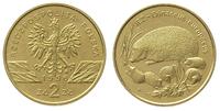 2 złote 1996, Jeż, Nordic Gold, bardzo ładne, pa