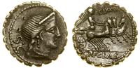 denar serratus 79 pne, Rzym, Aw: Głowa Wenus w d