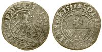 szeląg 1531, Elbląg, w legendzie awersu SOLID CI