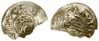 denar przed 1050, Praga, Aw: Popiersie księcia n
