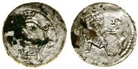 denar bez daty (1138–1146), Aw: Książę na tronie