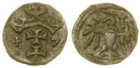 denar 1547, Gdańsk, patyna, CNG 51.III, Gum-H. 5