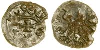 denar 1556, Gdańsk, widoczny blask menniczy, CNG