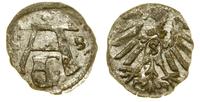 denar 1558, Królewiec, bardzo rzadki rocznik, du