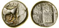 drachma 386–340 pne, Aw: Byk stojący w lewo, u g