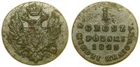 1 grosz z miedzi krajowej 1823, Warszawa, szerok