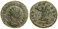 antoninian bilonowy 282–283, Rzym, Aw: Popiersie