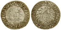 grosz 1544, Królewiec, PRVSS w legendzie rewersu