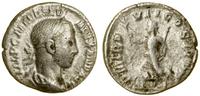 denar 228, Rzym, Aw: Głowa cesarza w wieńcu laur