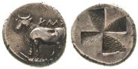 drachma około 350pne, Aw: Byk stojący na kłosie 