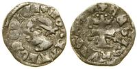 denar ok. 1358–1366, Aw: Głowa Saracena w lewo, 