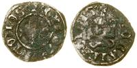 denar turoński 1294–1308, Aw: Krzyż, + GVI DVX A
