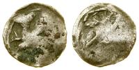 denar jednostronny (?) XIV/XV w., Gryf w lewo, s