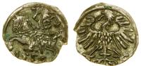 denar 1556, Wilno, większe cyfry daty, Cesnulis-