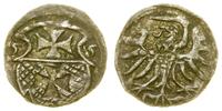 denar 1555, Elbląg, Gum-H. 654, Kop. 7099 (R3), 