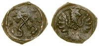 denar 1610, Poznań, skrócona data 1-0, patyna, r