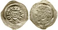 denar 1276–1281, Graz, Aw: Popiersie władcy na w