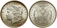 1 dolar 1888, Filadelfia, ttyp Morgan, srebro pr