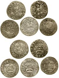 zestaw 5 monet, 3 x półgrosz koronny - Aleksande