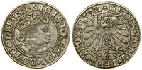 grosz 1532, Toruń, końcówki legend PRVSS / PRVSS