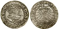 grosz 1534, Toruń, popiersie króla z długimi wło