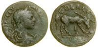 brąz 222–235, Aw: Popiersie cesarza w wieńcu lau