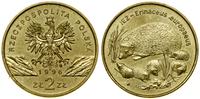 2 złote 1996, Warszawa, Jeż – Erinaceus europaeu