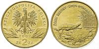 2 złote 2002, Żółw Błotny, Nordic Gold, Parchimo