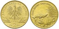 2 złote 2002, Żółw Błotny, Nordic Gold, Parchimo