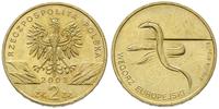 2 złote 2003, Węgorz Europejski, Nordic Gold, pa