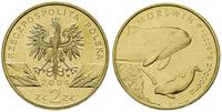 2 złote 2004, Morświn, Nordic Gold, Parchimowicz
