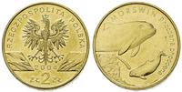 2 złote 2004, Morświn, Nordic Gold, Parchimowicz