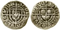 szeląg 1422–1425, Toruń, Aw: Tarcza Wielkiego Mi