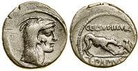 denar 45 pne, Rzym, Aw: Głowa Juno Sospita okryt
