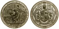 Wielka Brytania, medal pamiątkowy, 1879