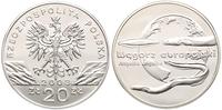 20 złotych 2003, Węgorz Europejski, Parchimowicz