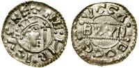 denar (1050–1057), Dokkum, Aw: Głowa władcy w ko
