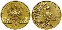 2 złote 2000, Warszawa, Dudek – Upupa epops, nor
