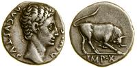 denar 15–13 pne, Lugdunum (Lyon), Aw: Głowa Augu
